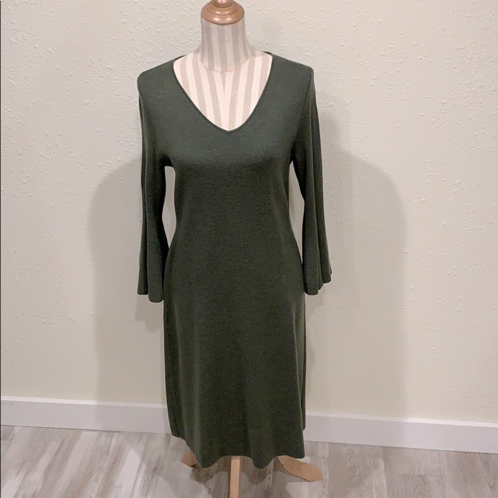 Green Bell Sleeve Sweater Dress (Talbots)